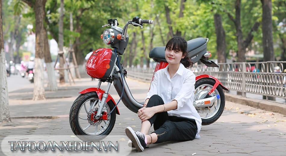 5 lý do khiến xe điện nhanh xuống cấp
